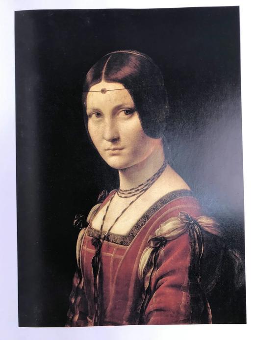 达芬奇的宇宙 数百幅插图 精装大16开 商品图6