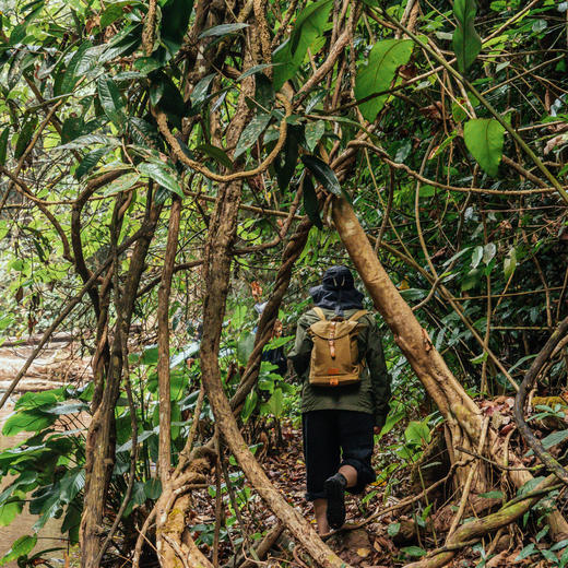云南 | 版纳热带雨林纳卡徒步1日游，荒野大餐+ATV越野摩托+雨林溯溪徒步+雨林保护公益项目+当地傣族向导 商品图7
