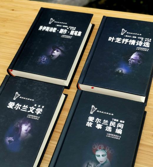 预售：爱尔兰文学丛书四种：《叶芝抒情诗选》《乔伊斯诗歌.剧作.随笔集》《爱尔兰文学》《爱尔兰民间故事选编》，精装，四册，[爱尔兰]叶芝、乔伊斯著，云南人民出版社2011年版，四册定价157元，售价48 商品图3
