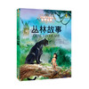 打动孩子心灵的世界经典童话—丛林故事（美绘版） 商品缩略图0