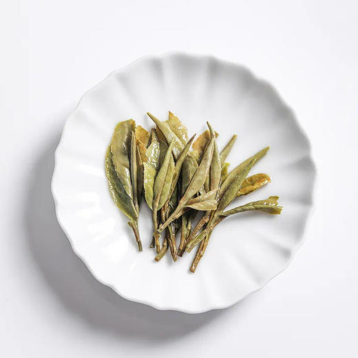 福鼎白茶丨2024年一叶九鼎  春韵牡丹二级白牡丹 500g 商品图8