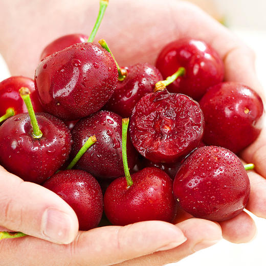 山东沂源露天大樱桃3斤/5斤装（JJ级/JJJ级）现摘现发 商品图5