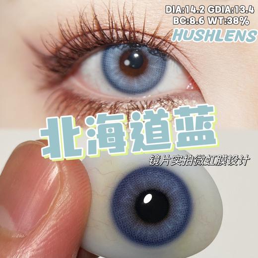 hushlens 年抛 北海道/印第安绿/金吉拉灰/曼哈顿褐 直径14.2mm着色13.4mm 商品图3