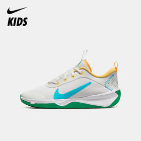Nike Omni Multi-Court (GS) 大童综合运动童鞋 FJ7719