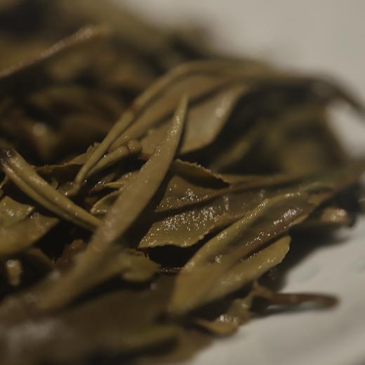 【停雲】2019年一级白牡丹 商品图4