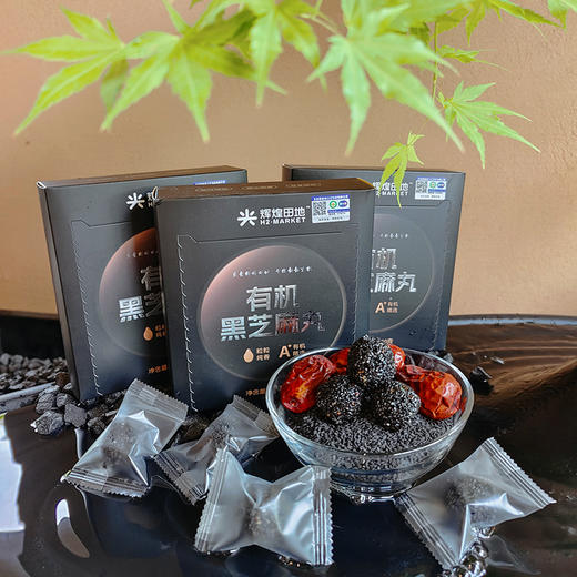 辉煌田地有机黑芝麻丸90g 商品图1