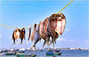 8月15日确定出发湛江开渔节【湛江】那琴半岛、菠萝的海、南极村精品教学5天（16人封顶、精品团） 商品缩略图8