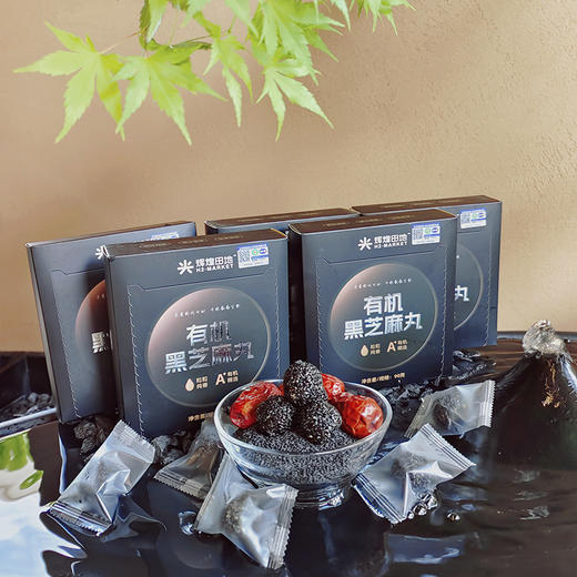 辉煌田地有机黑芝麻丸90g 商品图2