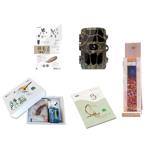 学期自然教育落地套餐——鸟主题 商品图5