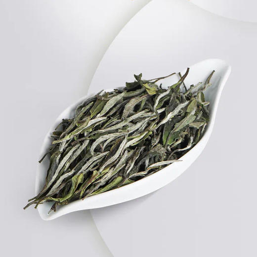 福鼎白茶丨2023年一叶九鼎  竹韵牡丹 500g 商品图1
