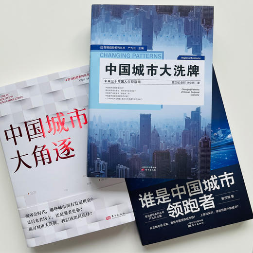 《中国城市经济发展三部曲 》 商品图3