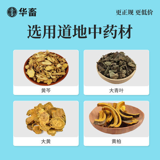 【社群专享】华畜三黄散250g 国标含量 选用上乘中药材 清热解毒烂鳃肠炎 商品图3