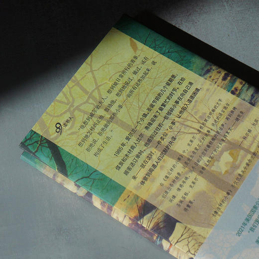 像这样的小事（精装）爱尔兰短篇女王克莱尔•吉根一部了不起的精简的小说，关注善良的本质和日常生活的纹理 商品图2