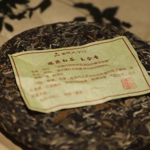 【玉合香】2013年特级白牡丹 商品图2