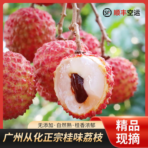 从化荔枝10斤/箱（蛋糕券价）【顺丰冷链，运费自理】 商品图0