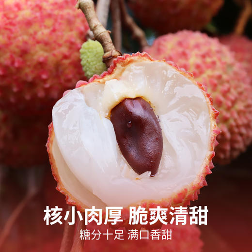 从化荔枝10斤/箱（蛋糕券价）【顺丰冷链，运费自理】 商品图1