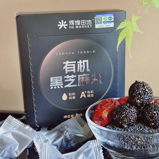 辉煌田地有机黑芝麻丸90g 商品图0