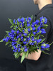 日本进口蓝色龙胆鲜花5支 商品缩略图2
