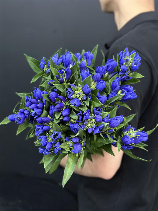 日本进口蓝色龙胆鲜花5支 商品图2