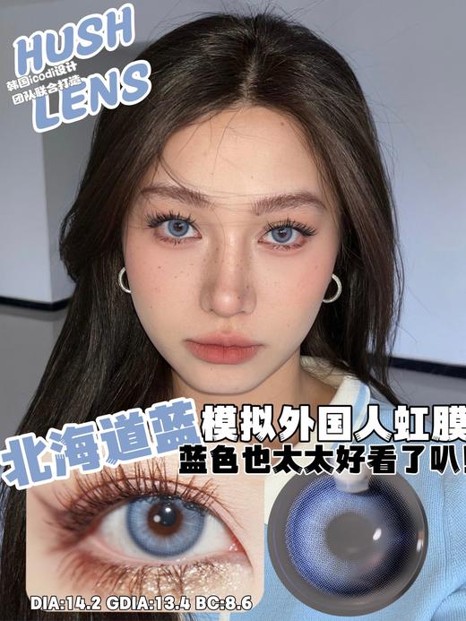 hushlens 年抛 北海道/印第安绿/金吉拉灰/曼哈顿褐 直径14.2mm着色13.4mm 商品图0