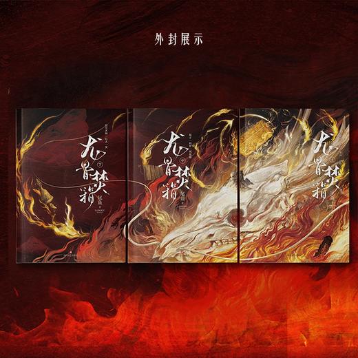龙骨焚箱 全三册 尾鱼 著 小说 商品图1