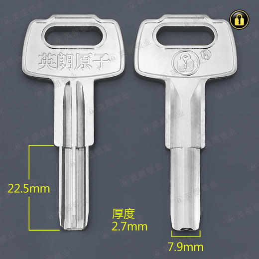 〖2096〗长颈金点原子 商品图1