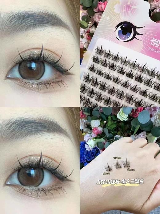 【秒杀价】懒人三部曲+工具包 商品图1