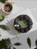 抹茶黑砖，高级感来了 商品缩略图2