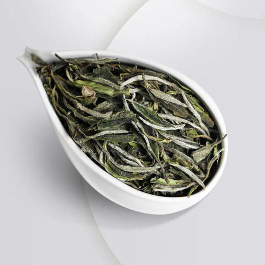 福鼎白茶丨2024年一叶九鼎  春韵牡丹二级白牡丹 500g 商品图7