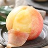 阳山水蜜桃大果（8个装） 商品缩略图0