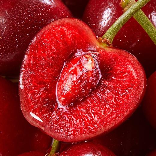 山东沂源露天大樱桃3斤/5斤装（JJ级/JJJ级）现摘现发 商品图2