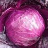 有机紫甘蓝礼盒（2颗/约2.4斤装）（云南） 商品缩略图3