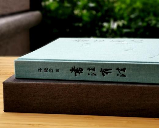激光雕刻版+钤印本：《书法有法》，布面精装，16开函套装，孙晓云著，江苏凤凰美术出版社2022年9月一版一印，定价268，售价：236元。 商品图3
