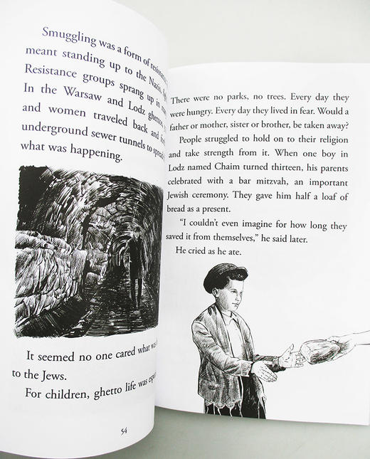 英文原版 What Was The Holocaust? 什么是大I屠I杀？ 历史文化科普文学 纳粹种族灭绝 英语课外读物 英文版 进口英语原版书籍 商品图2