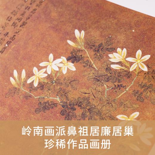 故园拾香:居巢居廉绘画 岭南画派鼻祖最全作品画册【现货包邮】 商品图2