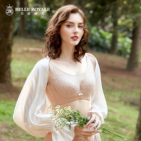 新款纯棉调整型文胸大胸显瘦贴服聚拢女款WJ233-1