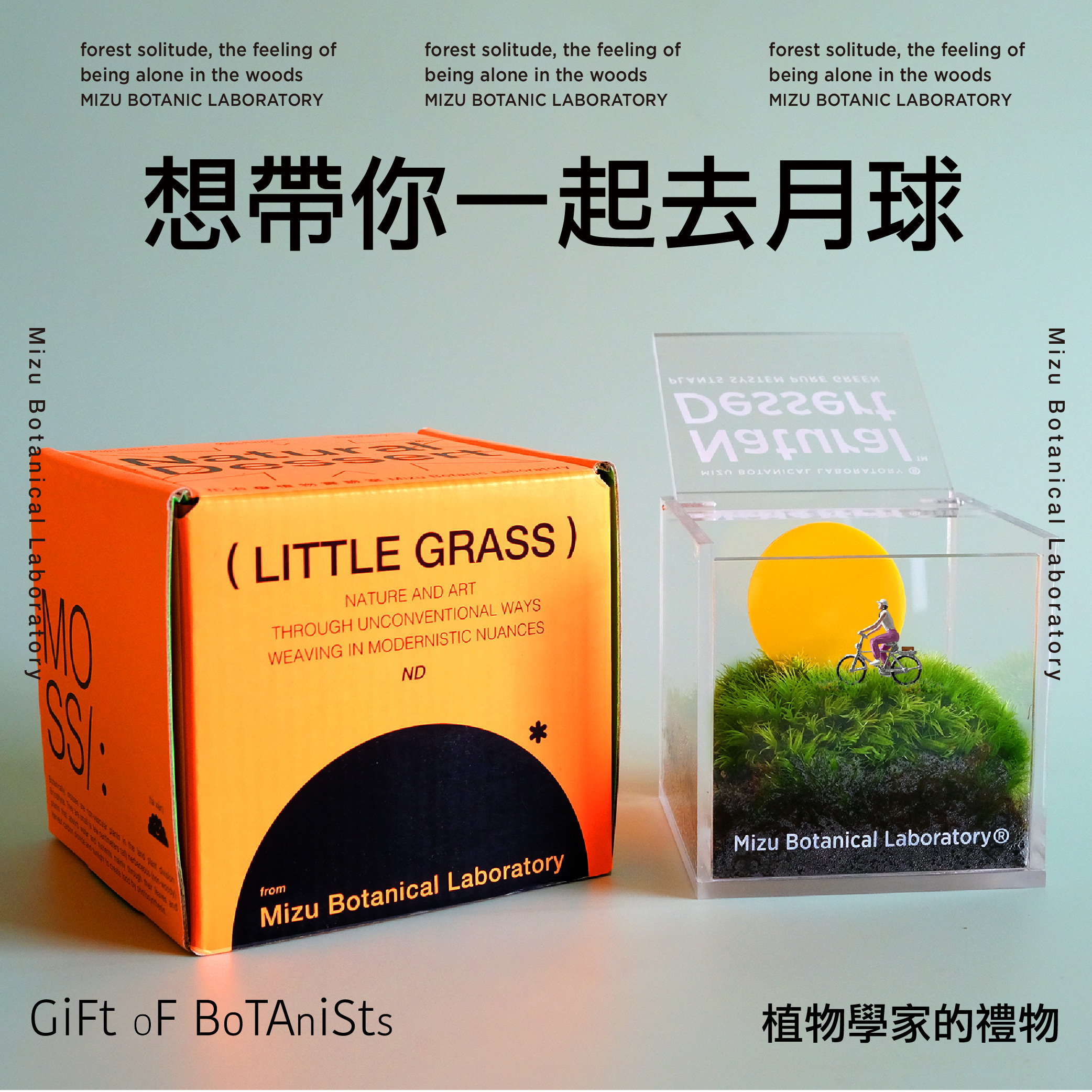 花治苔藓甜点-植物创意礼物/情绪生态瓶