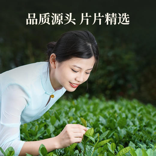 【赠试泡茶】华祥苑-月兮清香铁观音250g礼盒装 商品图4