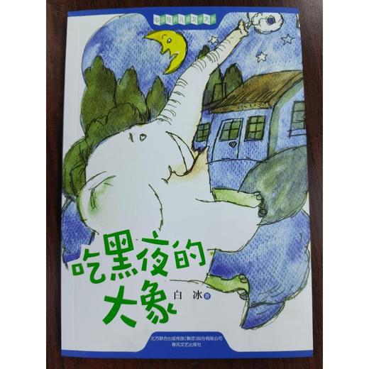 吃黑夜的大象 商品图0