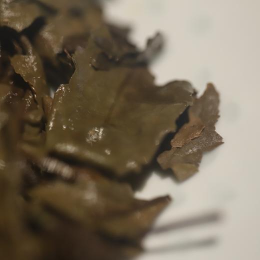 四大茗乐茶饼系列【君且慢】2017年高山贡眉 商品图5