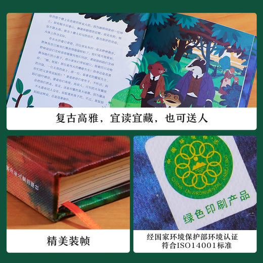 TEEN经典（4册）套装礼盒（赠小王子手账本、明信片8张） 商品图6