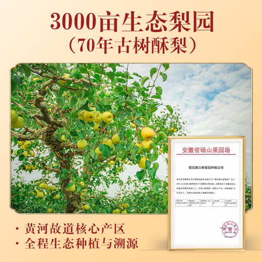 梨花猫 70年古树梨膏头茬鲜梨 新鲜熬制 商品图4