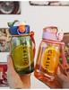 高颜值ins风日本随行杯男女简约塑料带茶漏水杯 商品缩略图1