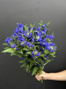 日本进口蓝色龙胆鲜花5支 商品缩略图1