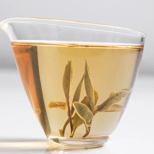 福鼎白茶丨2023年一叶九鼎  竹韵牡丹 500g 商品图3