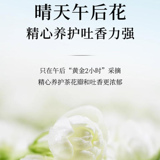 开古 茉莉花茶一级 80g 商品图3