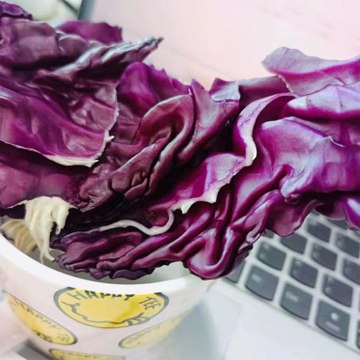 有机紫甘蓝礼盒（2颗/约2.4斤装）（云南） 商品图5