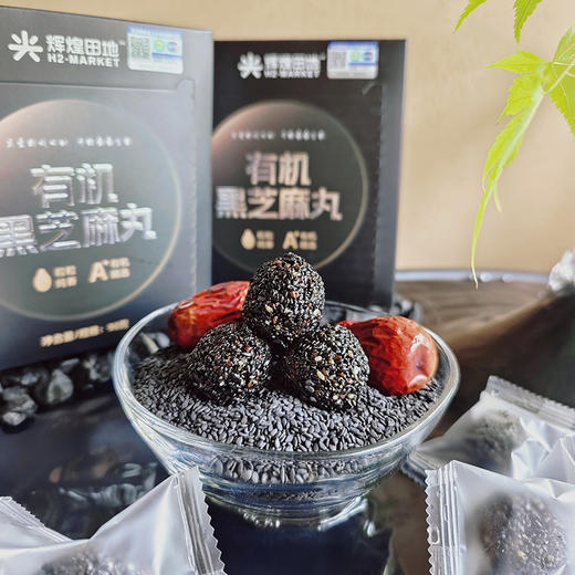 辉煌田地有机黑芝麻丸90g 商品图6