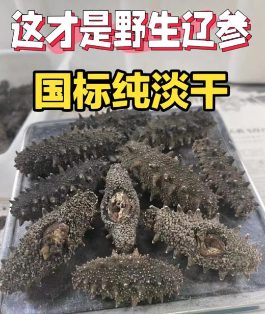 xm❥精选九年纯淡干海参，泡发率高，肉质紧实，营养价值非常高远超普通参品！！ 商品图0