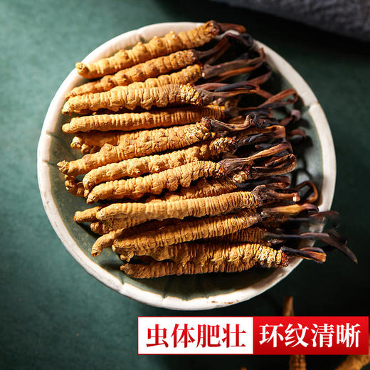 【虫草单支装礼盒】正宗西藏那曲冬虫夏草礼盒装10支/20支装 商品图3